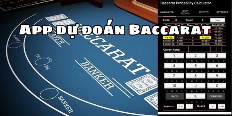 Tool baccarat